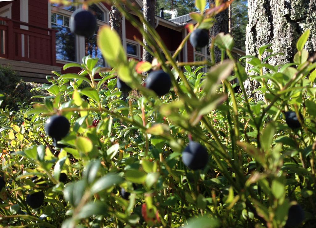 Otsopirtti: Maria And Otso Apartments Kolinkylä 客房 照片